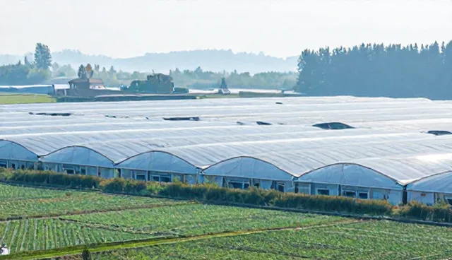 网站建设中如何选择线上运营支持的适用条件